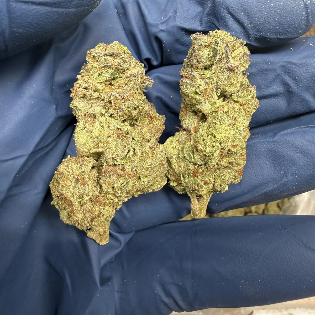 Sherblato Flower